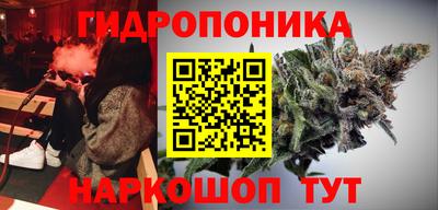 прущие крисы Донской
