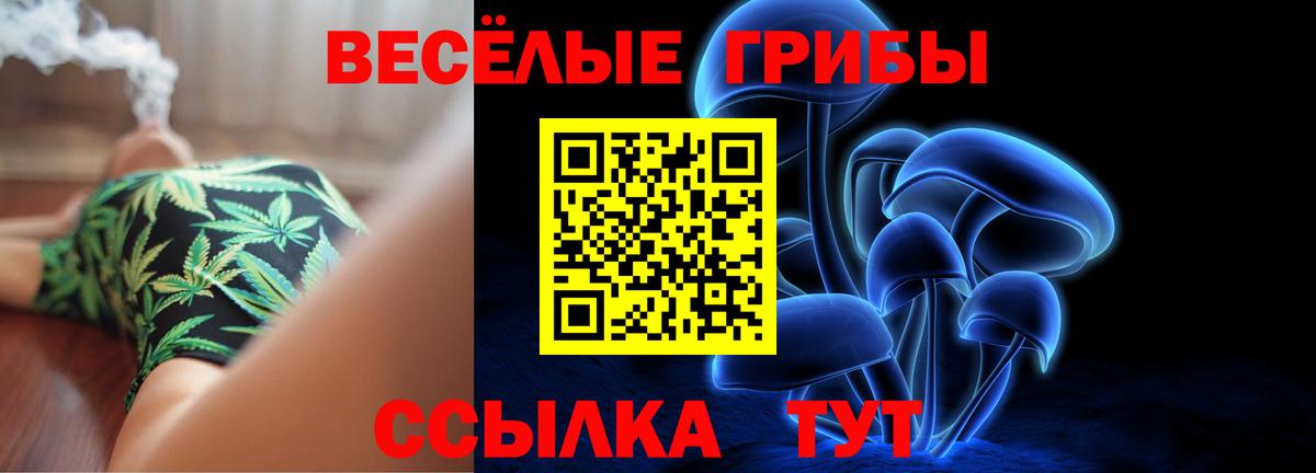 Галлюциногенные грибы MAGIC MUSHROOMS Менделеевск